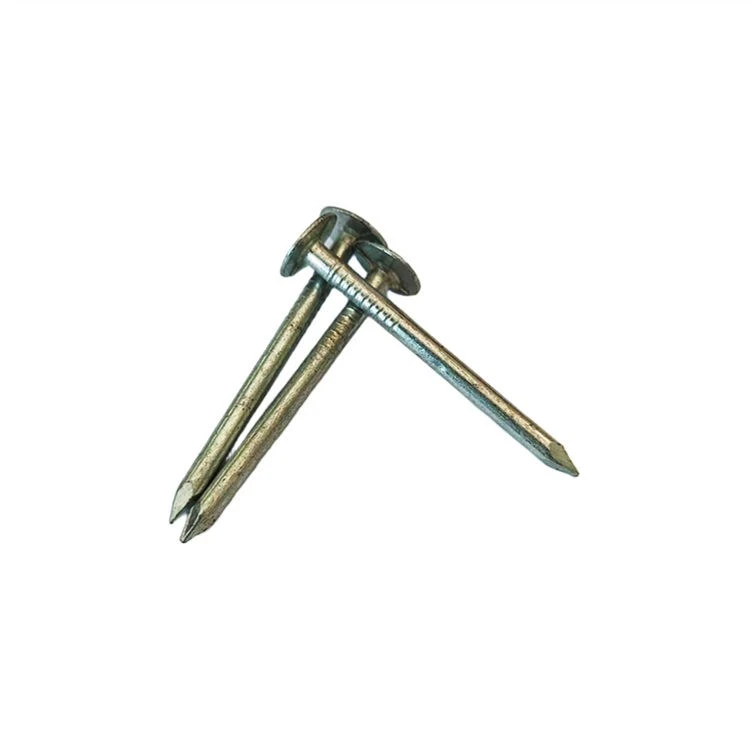 EG Roofing Nail factory EG Roofing Nail factory